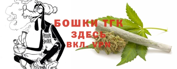 дживик Балахна