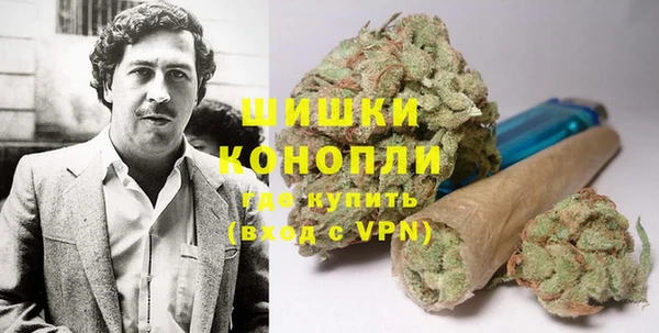 дживик Балахна