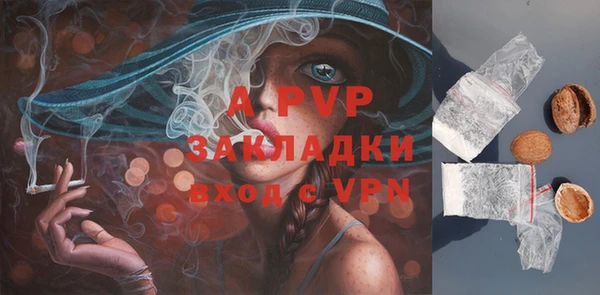 ECSTASY Балабаново